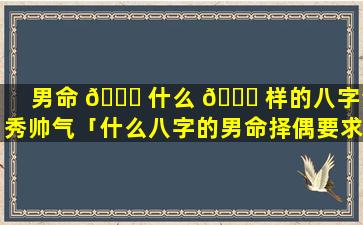 男命 🕊 什么 🐅 样的八字清秀帅气「什么八字的男命择偶要求高」